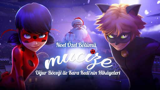 Mucize Ugur Bocegi Ile Kara Kedi Netflix