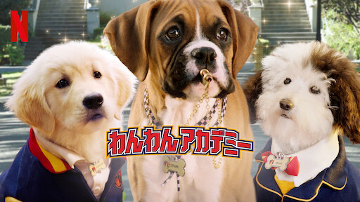 史上最悪の学園生活 Netflix ネ ッ ト フ リ ッ ク ス 公 式サ イ ト